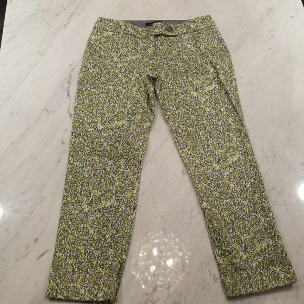 Spring time crops